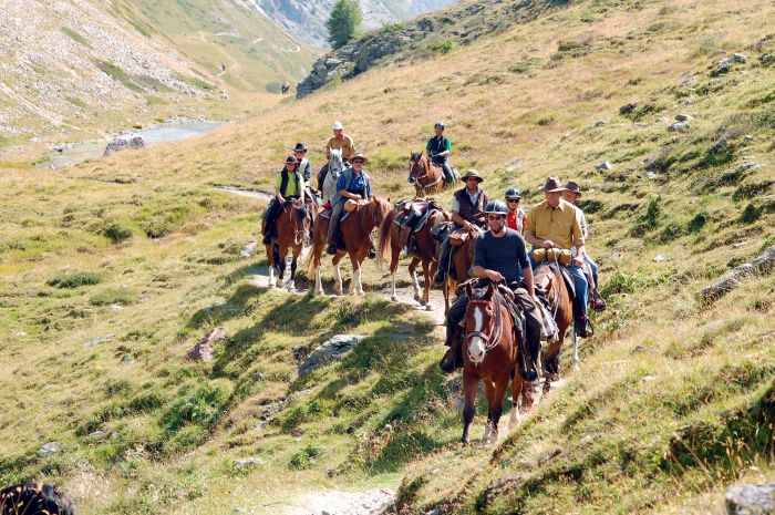 Panorama Trails durch die Alpen