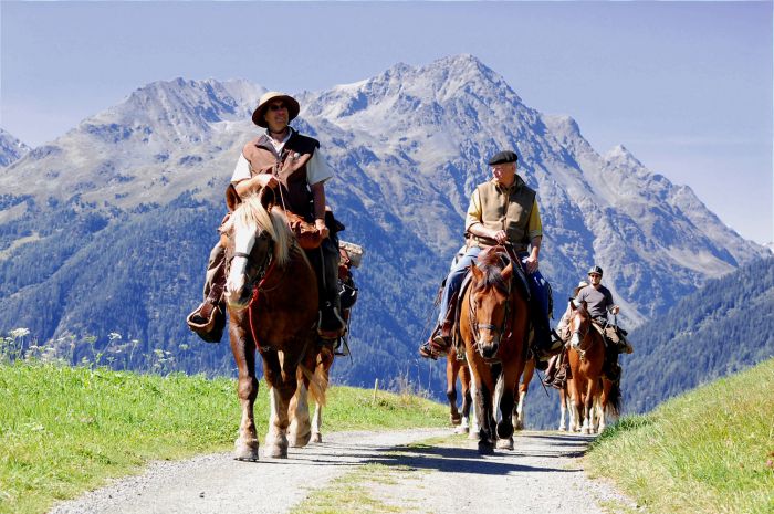 Panorama Trails durch die Alpen