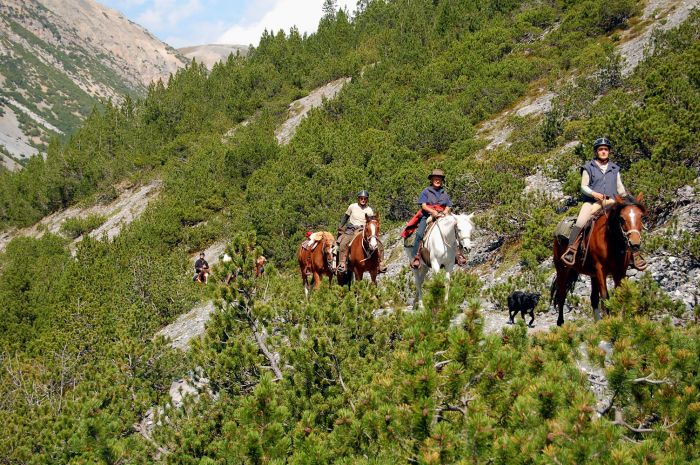 Panorama Trails durch die Alpen