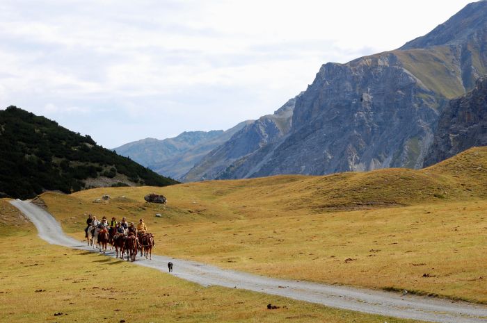 Panorama Trails durch die Alpen