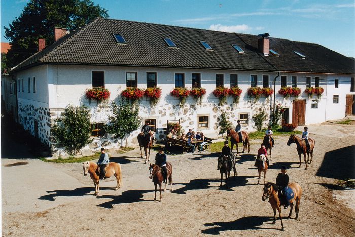 Reiterparadies im Mühlviertel