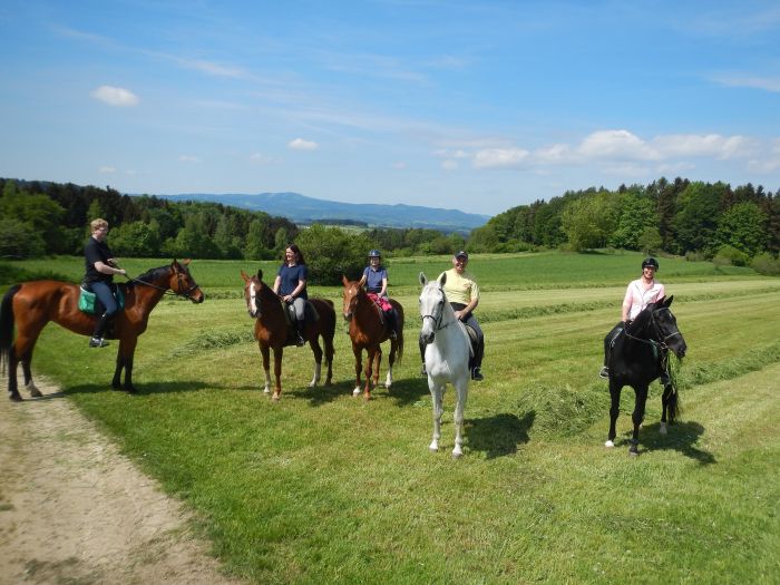 Reiterparadies im Mühlviertel