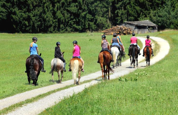 Reiterparadies im Mühlviertel