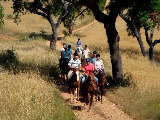 Alentejo-Küsten-Trail