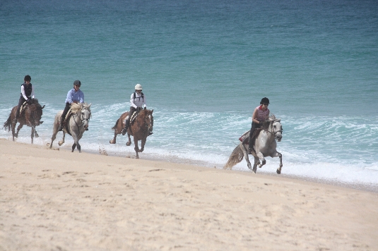 Alentejo-Küsten-Trail