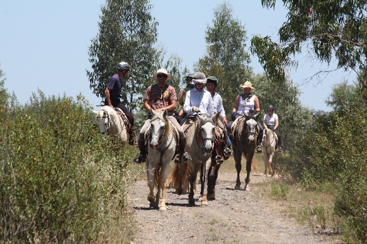 Alentejo-Küsten-Trail