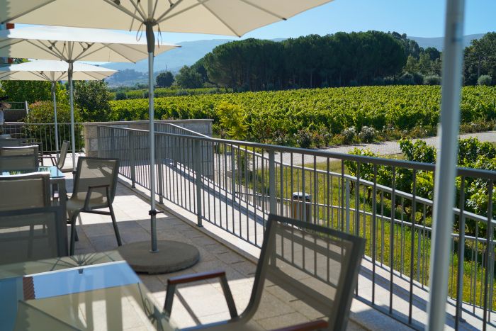 Dressur & Ausritte in der Serra da Estrela