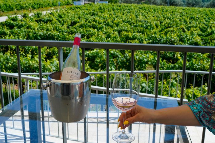 Dressur & Ausritte in der Serra da Estrela