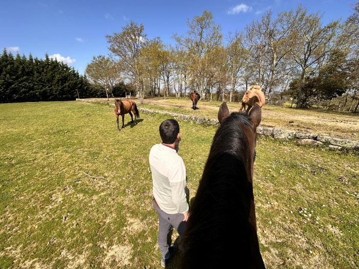 Dressur & Weingenuss in der Serra da Estrela