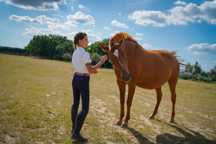 Dressur & Weingenuss in der Serra da Estrela