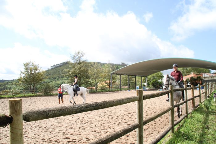 Dressur, Working Equitation und Asritte auf Lusitanos auf der Quinta do Archino