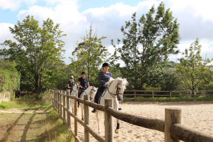 Dressur, Working Equitation und Asritte auf Lusitanos auf der Quinta do Archino