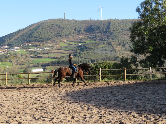 Dressur, Working Equitation und Asritte auf Lusitanos auf der Quinta do Archino