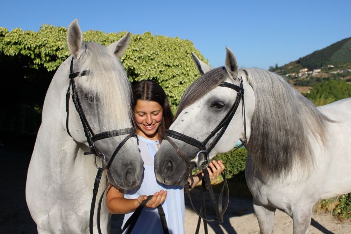 Dressur, Working Equitation und Asritte auf Lusitanos auf der Quinta do Archino