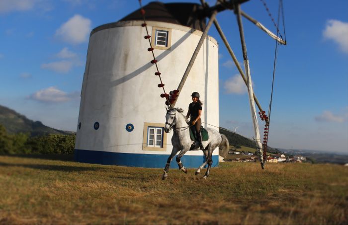 Dressur, Working Equitation und Asritte auf Lusitanos auf der Quinta do Archino