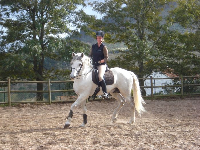 Dressur, Working Equitation und Asritte auf Lusitanos auf der Quinta do Archino