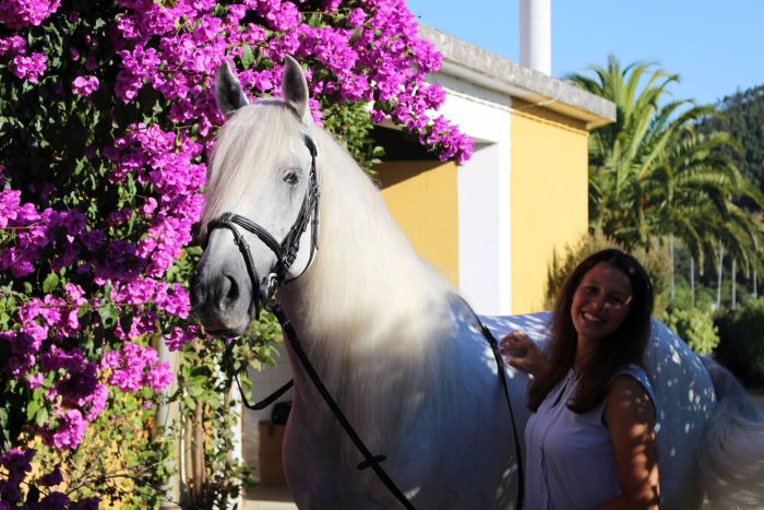 Dressur, Working Equitation und Asritte auf Lusitanos auf der Quinta do Archino