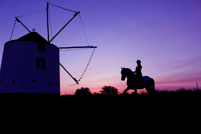 Dressur, Working Equitation und Asritte auf Lusitanos auf der Quinta do Archino