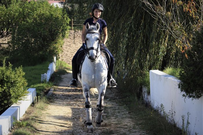 Dressur, Working Equitation und Asritte auf Lusitanos auf der Quinta do Archino