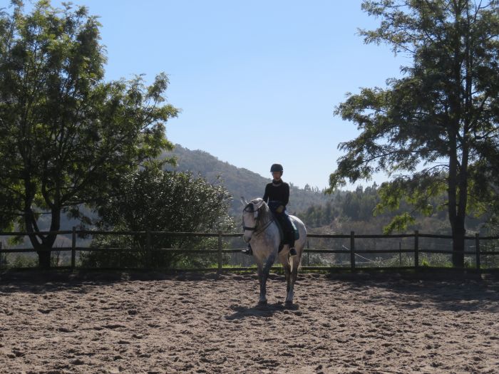 Dressur, Working Equitation und Asritte auf Lusitanos auf der Quinta do Archino