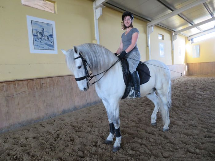 Dressur, Working Equitation und Asritte auf Lusitanos auf der Quinta do Archino