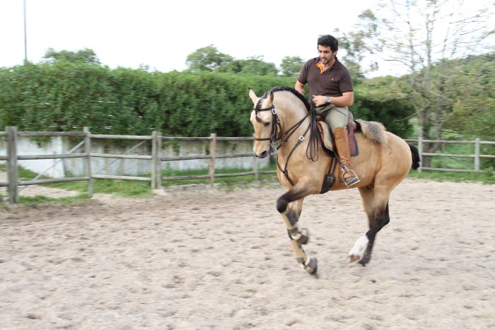 Dressur, Working Equitation und Asritte auf Lusitanos auf der Quinta do Archino