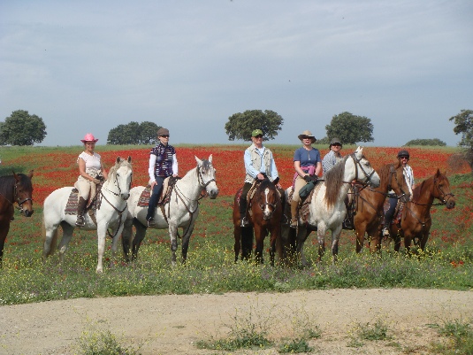 Königspferde-Ritt im Alentejo