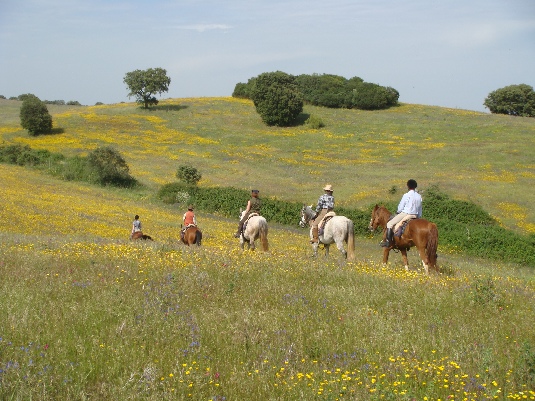 Königspferde-Ritt im Alentejo