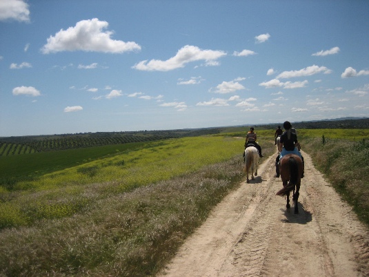 Königspferde-Ritt im Alentejo