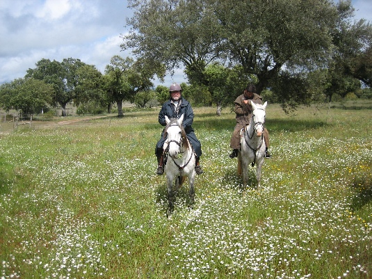 Königspferde-Ritt im Alentejo