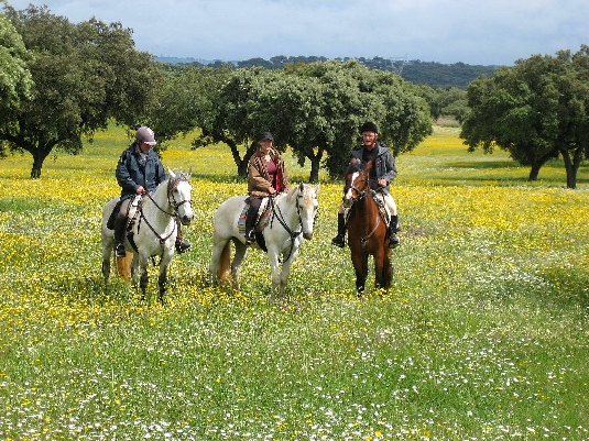 Königspferde-Ritt im Alentejo