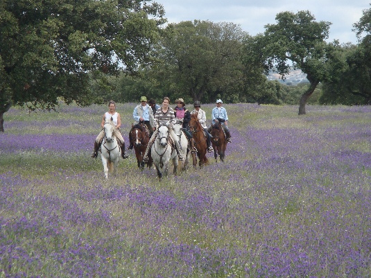 Königspferde-Ritt im Alentejo