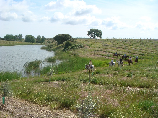 Königspferde-Ritt im Alentejo