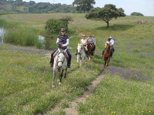 Königspferde-Ritt im Alentejo