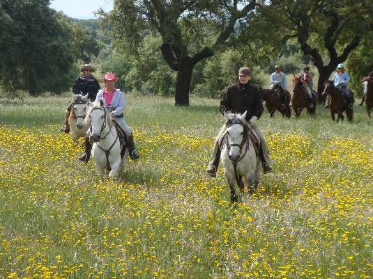 Königspferde-Ritt im Alentejo