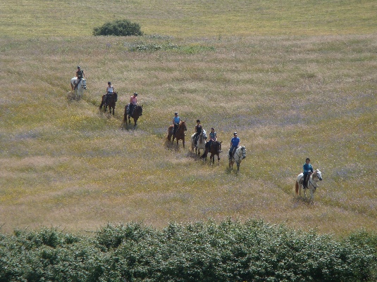 Königspferde-Ritt im Alentejo