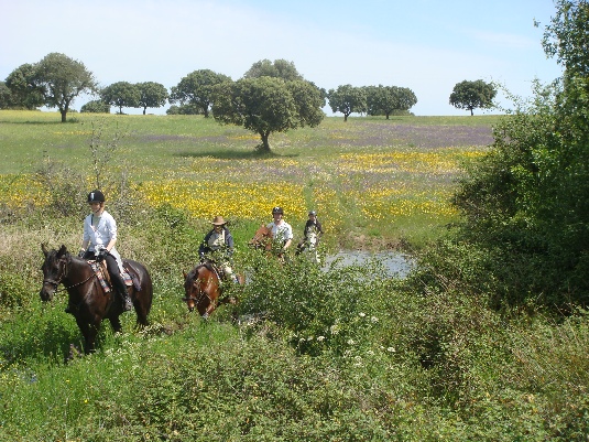 Königspferde-Ritt im Alentejo