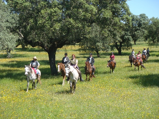 Königspferde-Ritt im Alentejo