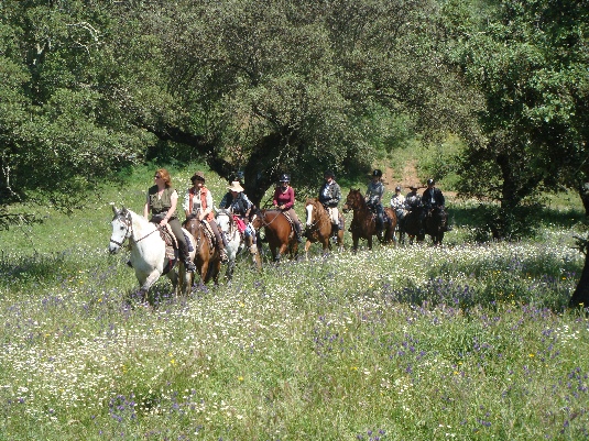 Königspferde-Ritt im Alentejo