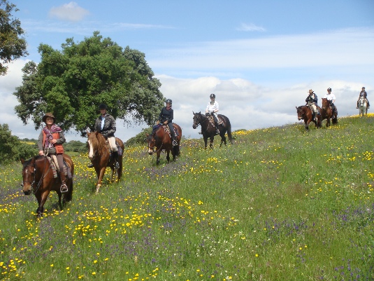 Königspferde-Ritt im Alentejo