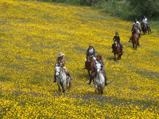 Königspferde-Ritt im Alentejo