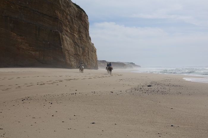 Trail zum Atlantischen Ozean