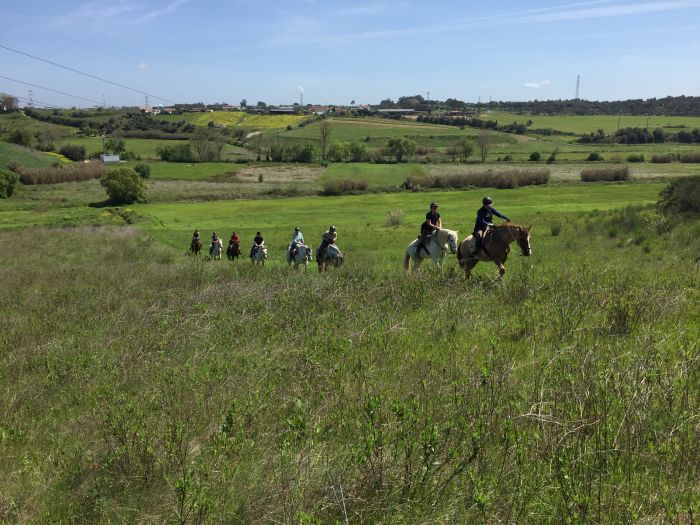 Trail zum Atlantischen Ozean