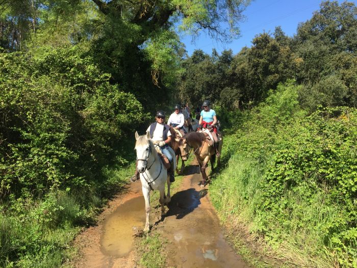 Trail zum Atlantischen Ozean