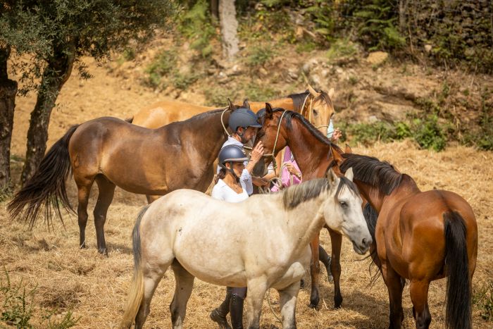 Komfort Trail in der Serra d`Arga