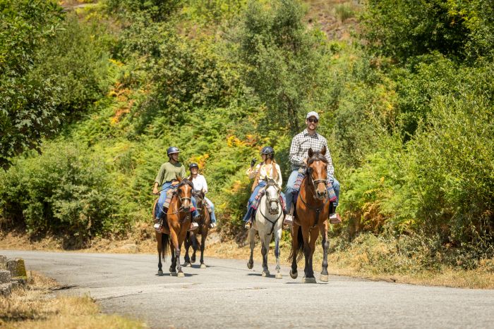 Komfort Trail in der Serra d`Arga