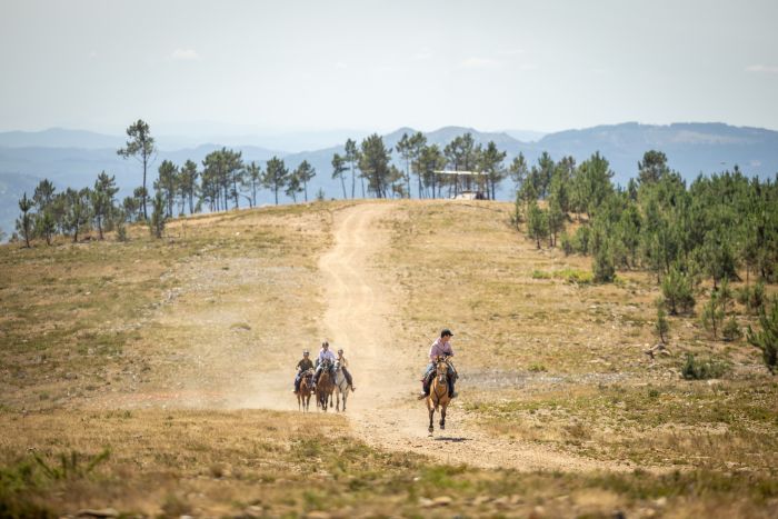 Komfort Trail in der Serra d`Arga