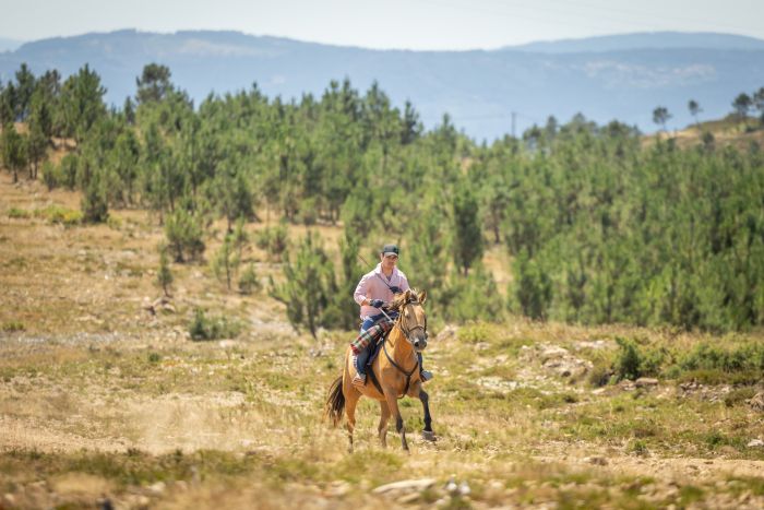Komfort Trail in der Serra d`Arga