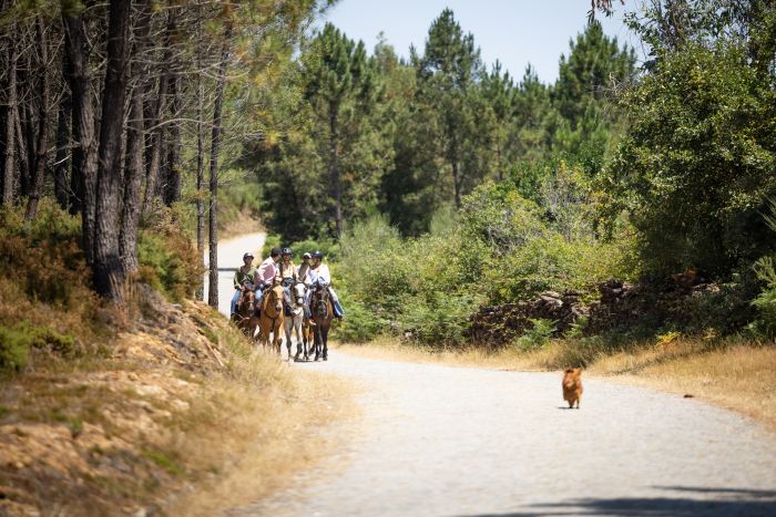 Komfort Trail in der Serra d`Arga