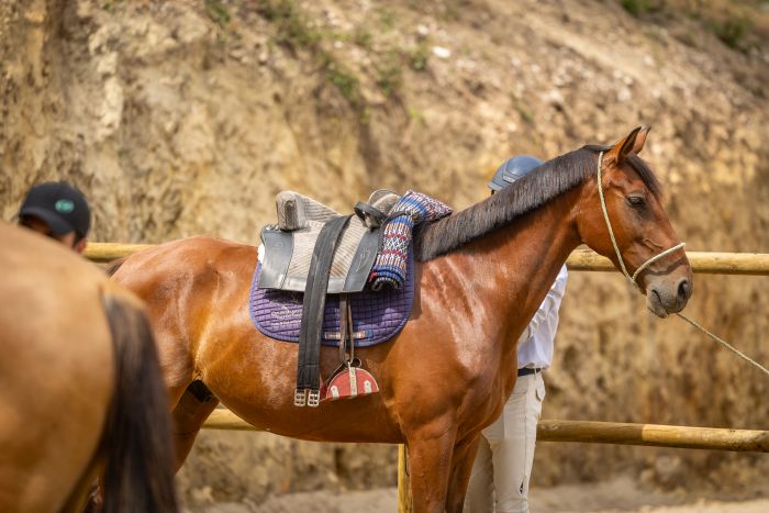 Komfort Trail in der Serra d`Arga